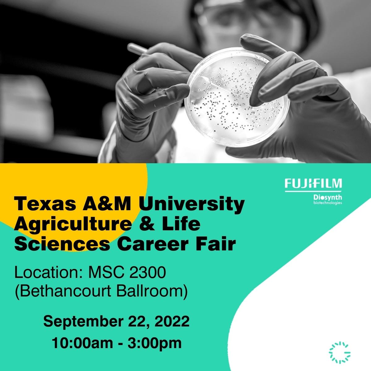 T&M Career Fair