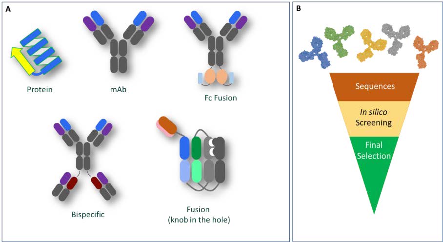Figure 1A: Diversity of molecules assessed using bioinformatics; Figure 1B: Representation of lead candidate selection ‘funnel’