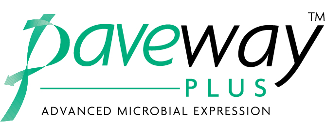 Paveway PLUS logo