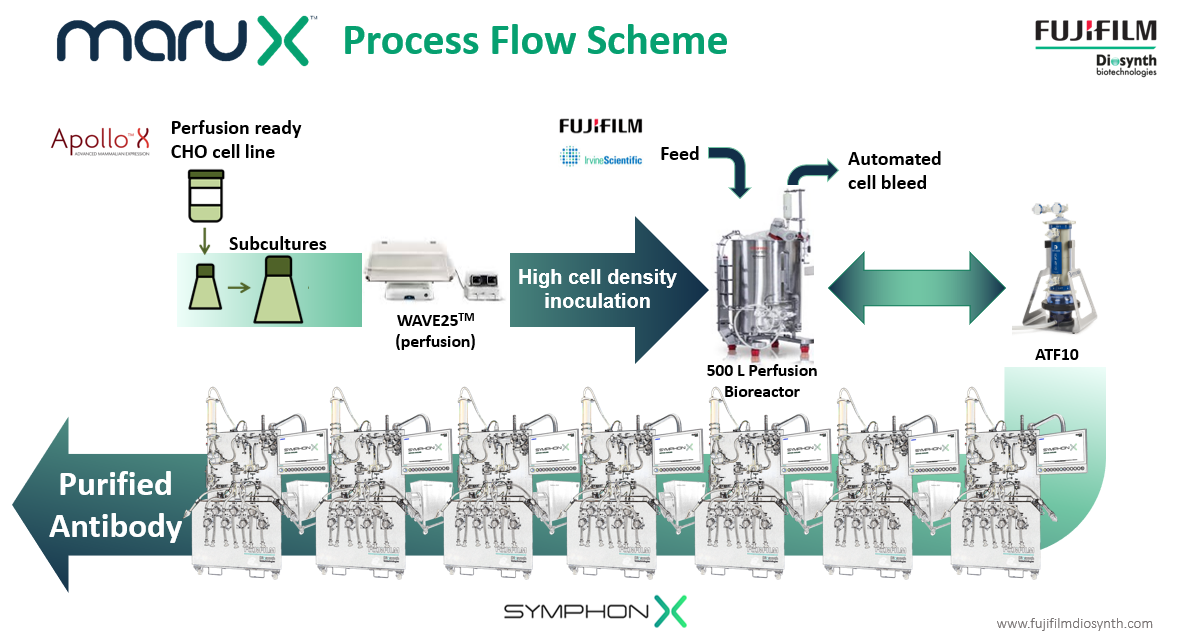 MaruX platform continuous manufacturing of antibody