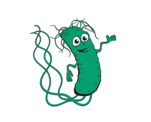 Necoli e-coli
