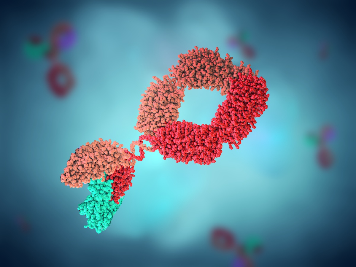 Multicolored antibody or immunoglobulin - 3d illustration