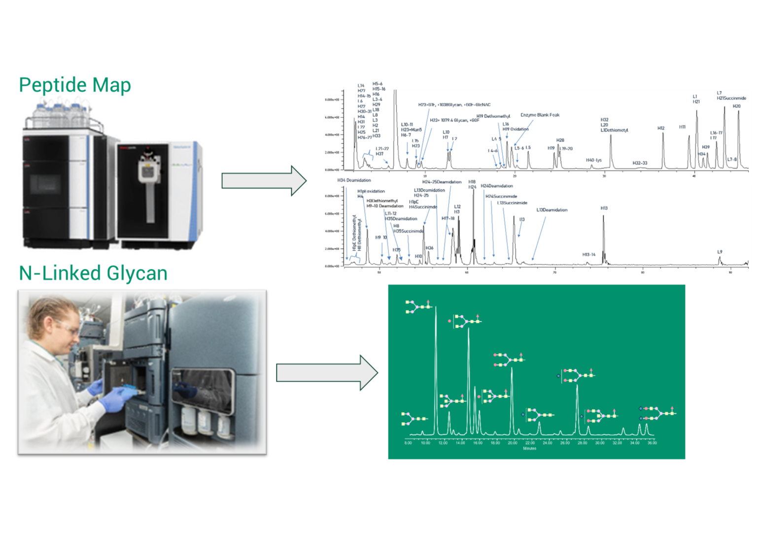 Leveraging Advanced Analytical Capabilities to Derisk Drug Development ...